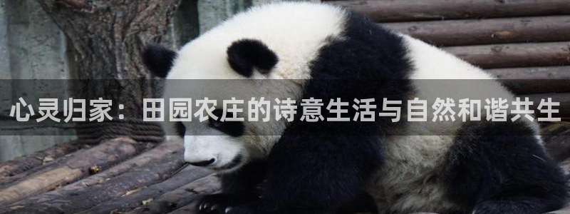 九游会凯时