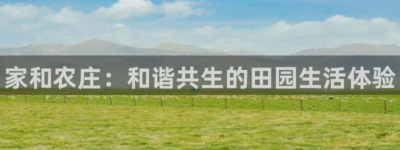老哥九游会