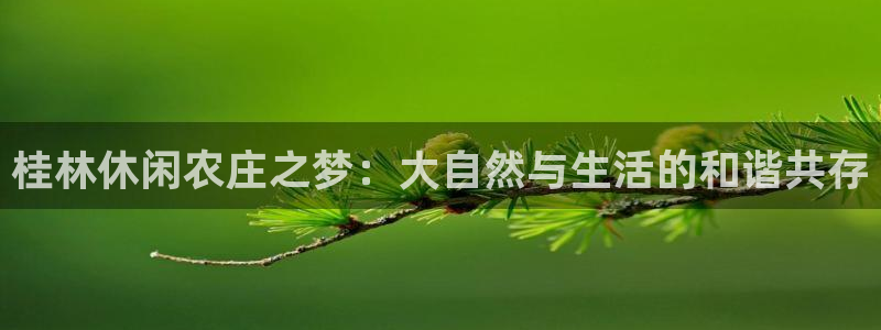 九游会和九游国际区别