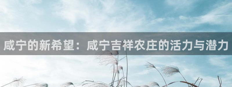 九游会捕鱼