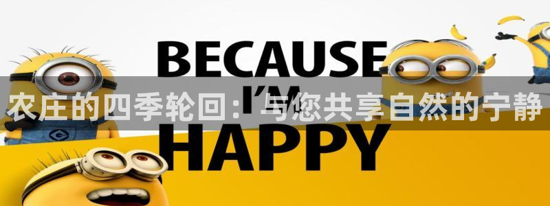 九游老哥会