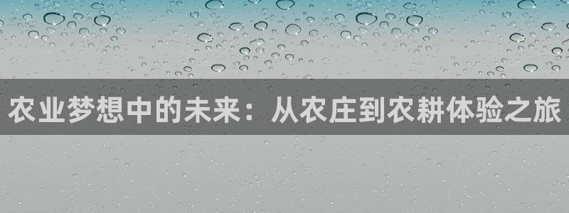 亚游停运转九游会
