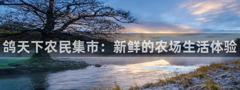 莉莉斯园游会九游