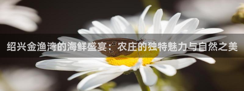 九游光遇买东西会优惠吗
