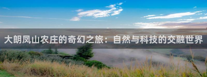 九游会全站官网链接