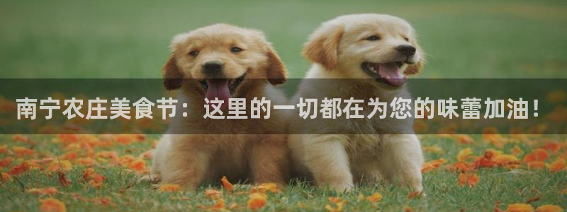 九游会砸金蛋